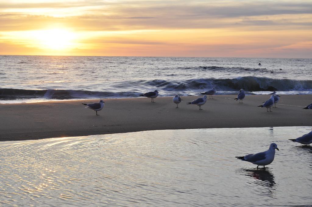 Crystal Beach Hotel Ocean City Esterno foto